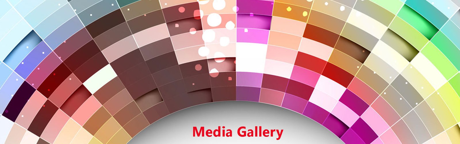 POLYMAX About Us Banner